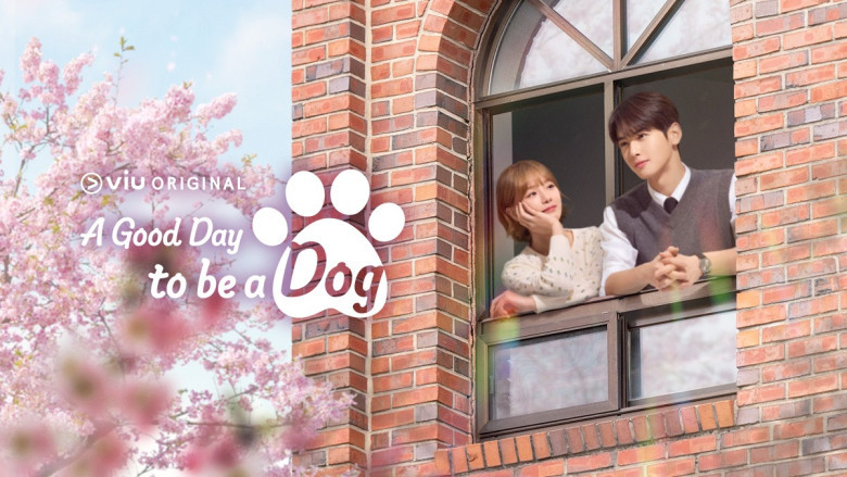 A Good Day To Be A Dog